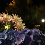 Cunda La Vie Отель Балыкесир