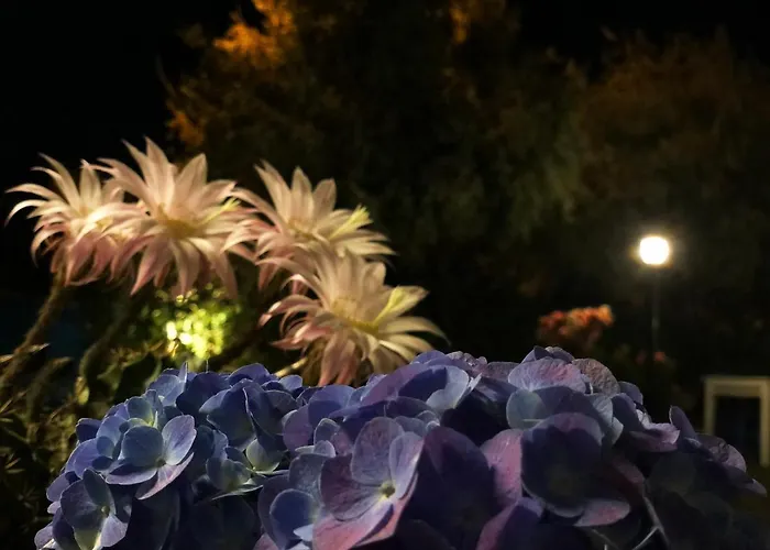 Cunda La Vie Szálloda Balıkesir